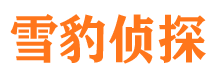 北塔市侦探公司